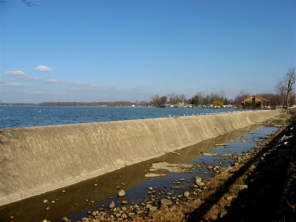 American Herring Gulls sitting on the Indian Lake spillway at the source of the Great Miami River in Russells Point, Ohio, United States.