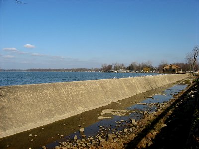 American Herring Gulls sitting on the Indian Lake spillway at the source of the Great Miami River in Russells Point, Ohio, United States.