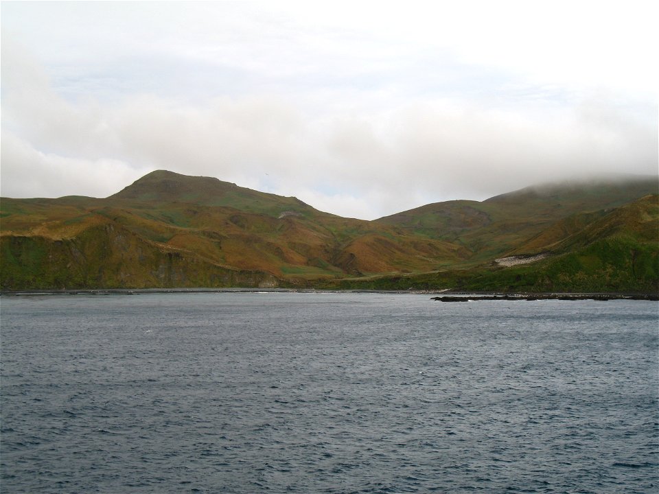Photo of Macquarie Island (Royal penguin rookery visible on right, just up from the beach)