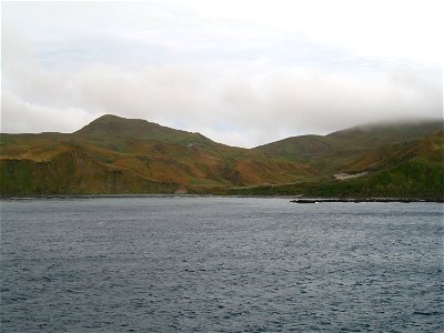 Photo of Macquarie Island (Royal penguin rookery visible on right, just up from the beach)