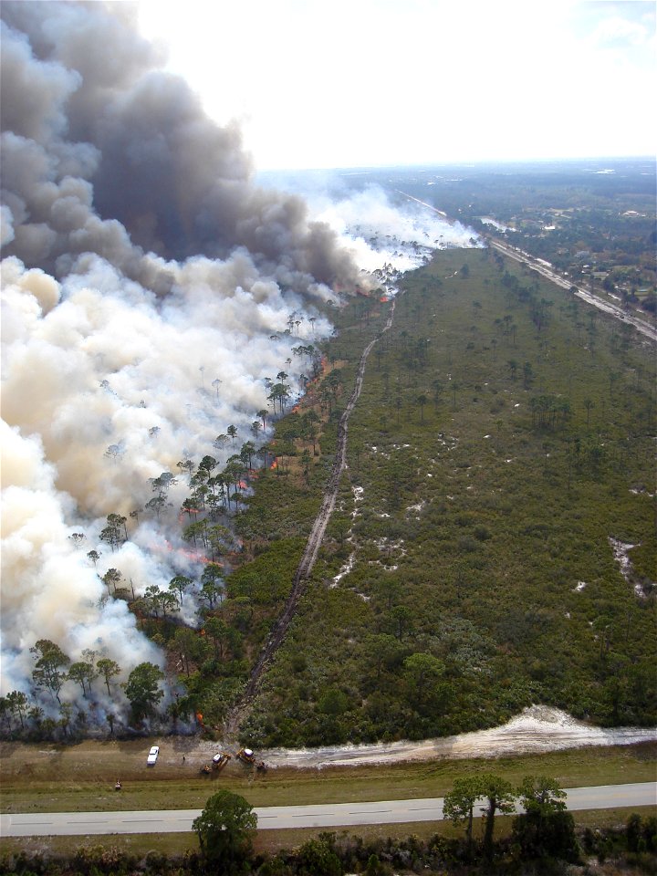 Merritt Island NWR conducts a prescribed fire on the south end of the refuge.  This area of the refuge is considered prime scrub jay habitat.  The fire crew works closely with the refuge biologist to 