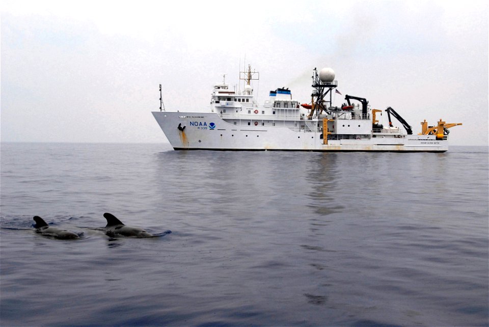 080724-N-9316F-007 PACIFIC OCEAN (July 24, 2008) Pilot whales surface off the coast of Kona, Hawaii, with the NOAA ship Oscar Elton Sette, R335, IMO: 8835097, in the background.