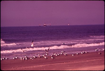 BULL ISLAND IS A WILD LIFE REFUGE NORTH OF CHARLESTON