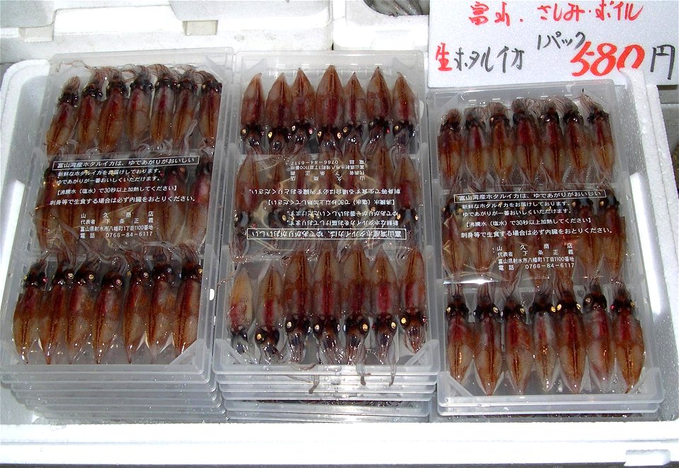 The Sparkling Enope Squid (Watasenia scintillansin) from Toyama Bay, Honshu, Japan for sale at a fishmarket in Tokyo.
