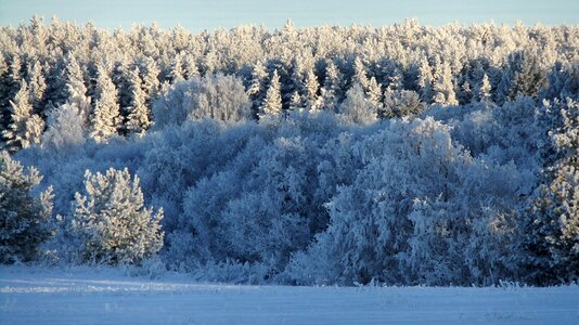 Snow landscape frost photo