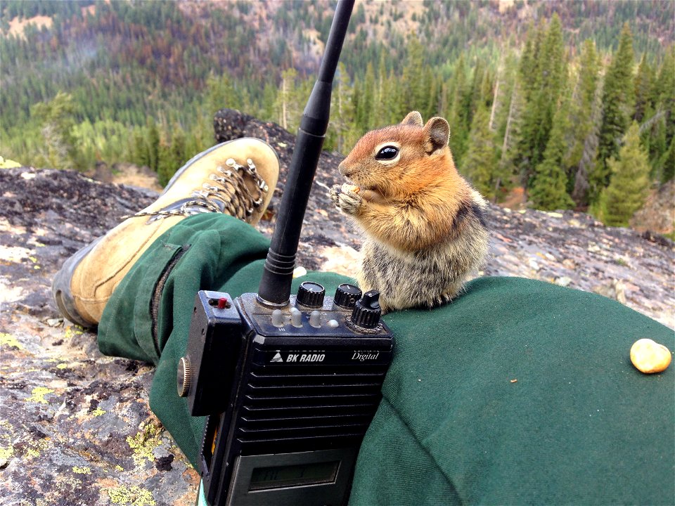 The annual 2015 BLM Oregon/Washington employee photo contest winners are:  
 First Place: Chloe Holbrook, Salem, Cultural
 Second Place: Cassandra Hummel, Prineville, People/Recreation
 Third Place