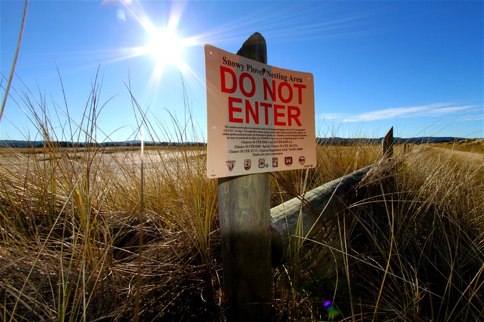 This North Spit ACEC is the southernmost end of a series of sand dunes extending along the Oregon coastline from Florence to Coos Bay. The ever-changing habitat is home to a wide variety of mammals an photo