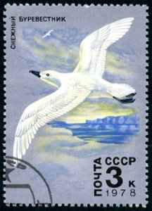 A USSR stamp photo