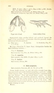 Catalogue of the Batrachia Salientia s. Ecaudata in the ... British Museum.
