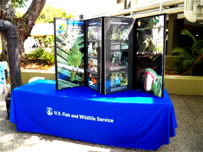 By: Danna Liurova (DRV) USFWS YAP May 01, 2012 Our second table at the SAVE THE FROG DAY event. photo