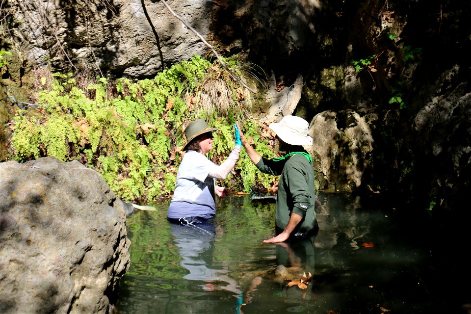 A high five to celebrate a completed translocation of partial California red-legged frog egg masses in the Santa Monica Mountains.