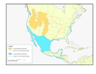 Range map for Long-billed Curlews photo