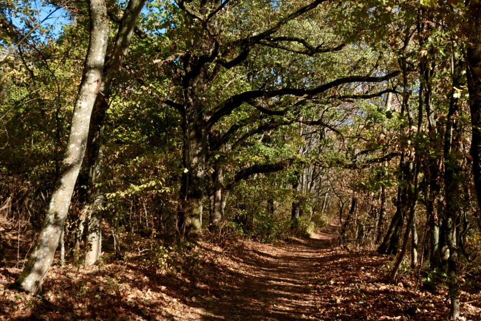 Away trail autumn