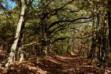 Away trail autumn
