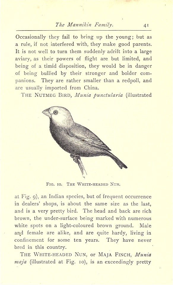 Favorite foreign birds for cages and aviaries.
