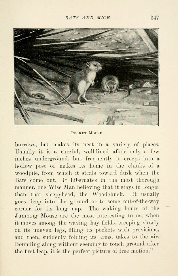 Four-footed Americans and their kin /  by Mabel Osgood Wright ; edited by Frank M. Chapman ; illustrated by Ernest Seton Thompson.