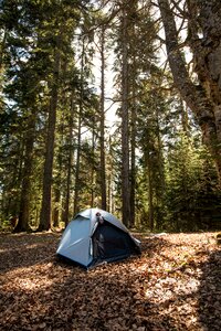 Nature tent adventure photo