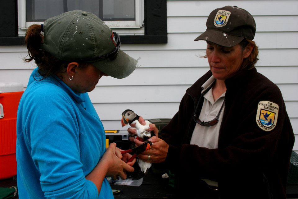 Credit: Greg Thompson/USFWS
