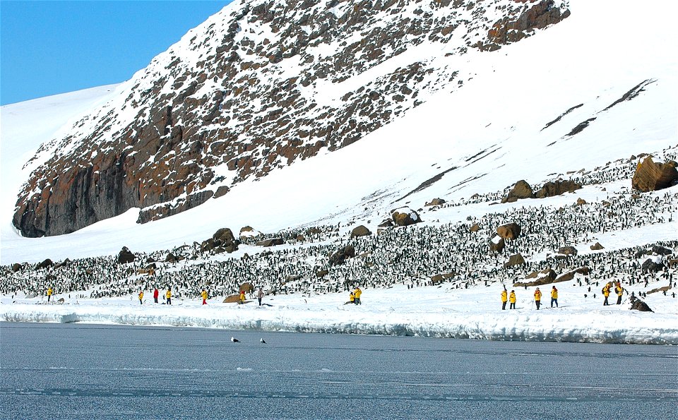 Explorers photographing an Adélie penguin colony near Snow Hill, Antarctica