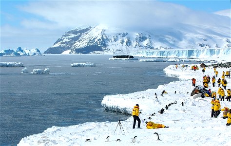 Explorers photographing an Adélie penguin colony near Snow Hill, Antarctica