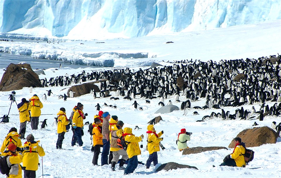 Explorers photographing an Adélie penguin colony near Snow Hill, Antarctica