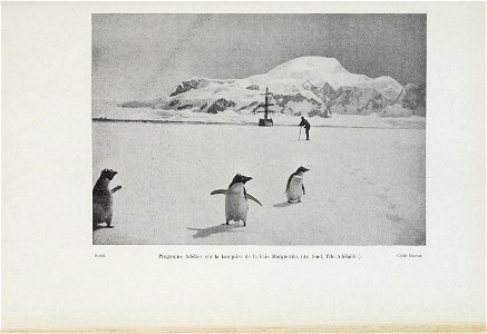 Le pourquoi-pas dans l'Antarctique : journal de la deuxieme expedition au Pole Sud, 1908-1910, suivi des rapports scientifiques des membres de letat-major preface de M. Paul Doumer.