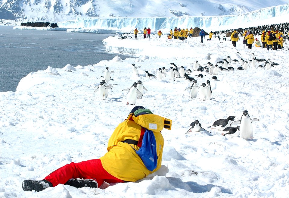 Explorers photographing an Adélie penguin colony near Snow Hill, Antarctica