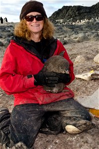 Jean Pennycook, part of a team studying Adélie penguins at Cape Royds in Antarctica, brings the work of the researchers to the K-12 education community. The researchers, led by principal investig photo