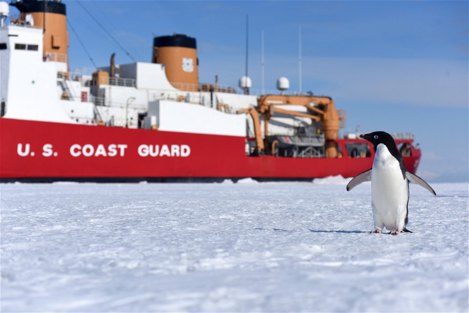 Is this the photo of the year? Go to the official Coast Guard Facebook page (www.facebook.com/UScoastguard) and “like” your favorite photos to place your vote and share your favorites with your friend
