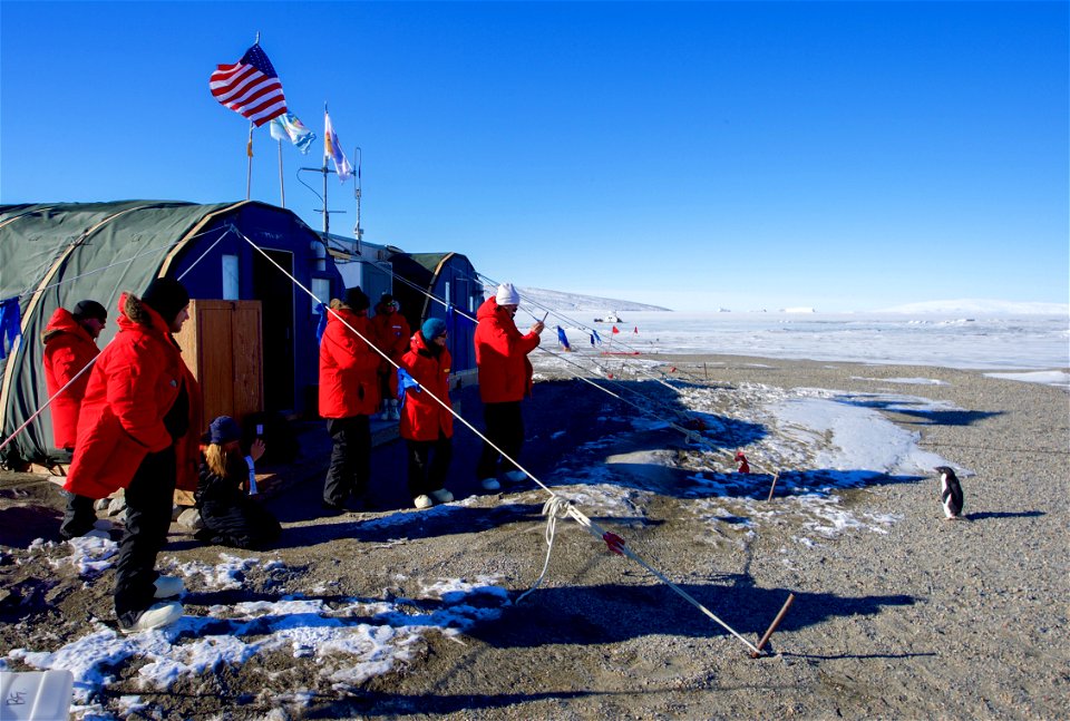 U.S. Secretary of State John Kerry and his traveling party look at and take photos of an Adélie penguin after it approached them in Antarctica on November 11, 2016, as the Secretary conducted a helico