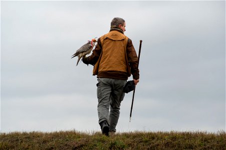 Jens Fleer, 52nd Fighter Wing base falconer, prepares to hunt with a female hawk at Spangdahlem Air Base, Germany, Jan. 16, 2019. Hawks are trained to catch pests that could potentially get caught in,