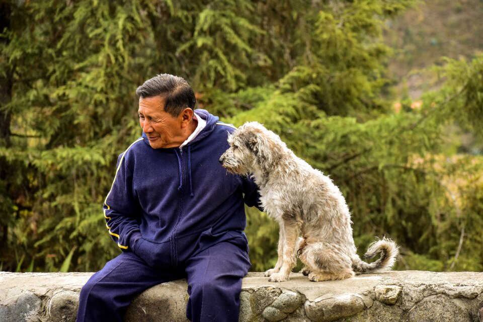 Dog old man with his dog pet with its master
