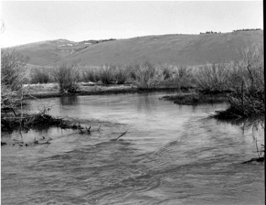 Image title: Beaver dam after opening vintage photo
Image from Public domain images website, http://www.public-domain-image.com/full-image/vintage-photography-public-domain-images-pictures/beaver-dam-