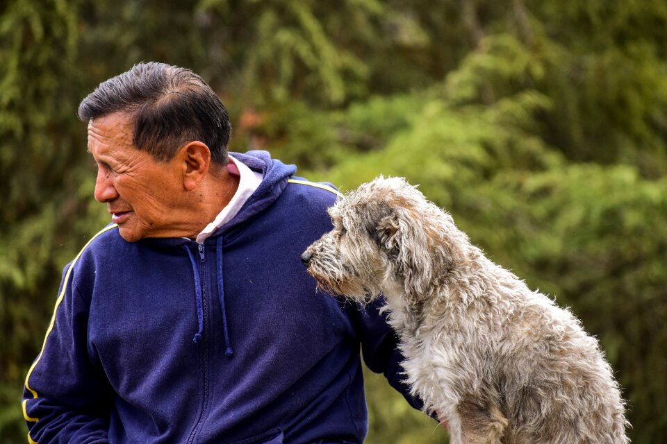 Dog old man with his dog pet with its master