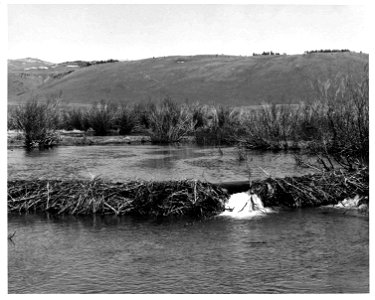 Image title: Beaver dam vintage old photo
Image from Public domain images website, http://www.public-domain-image.com/full-image/vintage-photography-public-domain-images-pictures/beaver-dam-vintage-ol