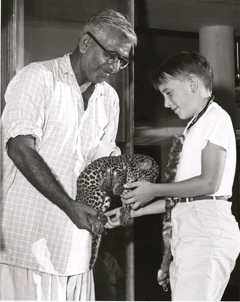 An unidentified man holding a leopard cub. An unidentified young boy is petting the cub. The photograph was taken in India by the United States Information Service (USIS).