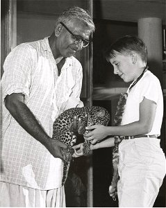An unidentified man holding a leopard cub. An unidentified young boy is petting the cub. The photograph was taken in India by the United States Information Service (USIS).