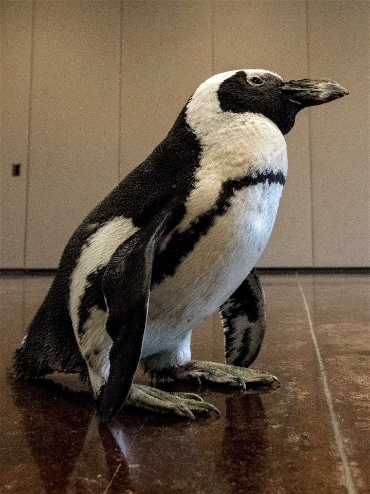 U.S. Secretary of Agriculture Sonny Perdue met with USDA employees and Columbus Zoo and Aquarium administration and staff who provided information about the animals and their care, during the zoo’s US