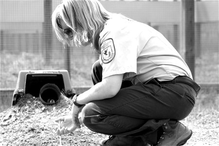 In the summer of 2012, USFWS Region 6 interns visited the National Black-footed Ferret Conservation Center (NBFFCC) in Colorado to learn how the program reintroduces the endangered Black-footed ferret