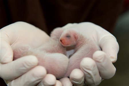 Photo credit: Kimberly Fraser, USFWS