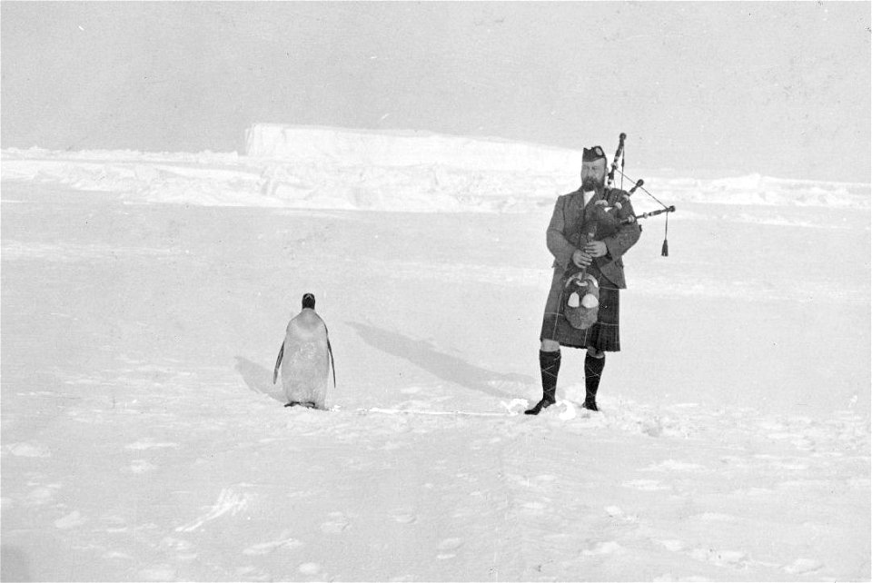 Bagpiper Gilbert Kerr with penguin during the Scottish National Antarctic Expedition, 1902-04