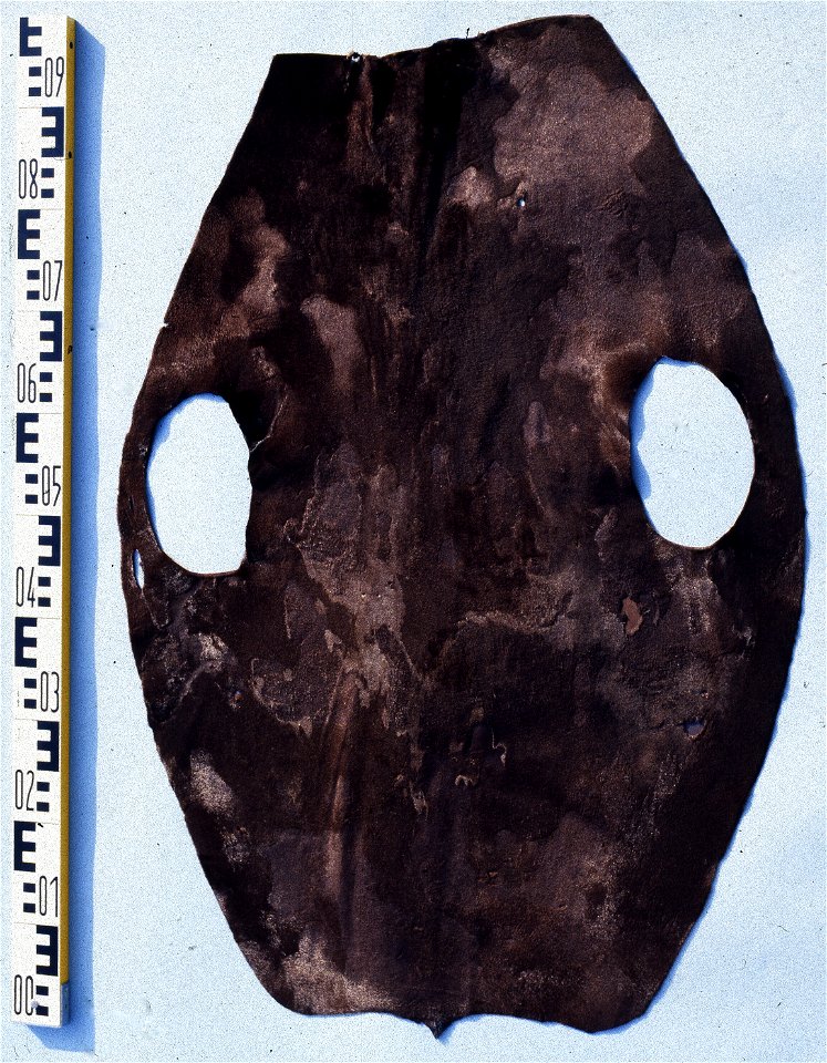 South African fur seal fur skin (Arctocephalus pusillus), 'La Kunene', sheared and coloured. Fur skin collection, Bundes-Pelzfachschule, Frankfurt/Main, Germany