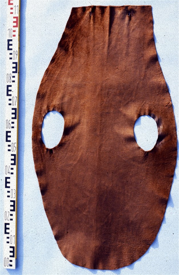 South African fur seal fur skin  (Arctocephalus pusillus), Lakoda Seal (sheared and coloured). Fur skin collection, Bundes-Pelzfachschule, Frankfurt/Main, Germany