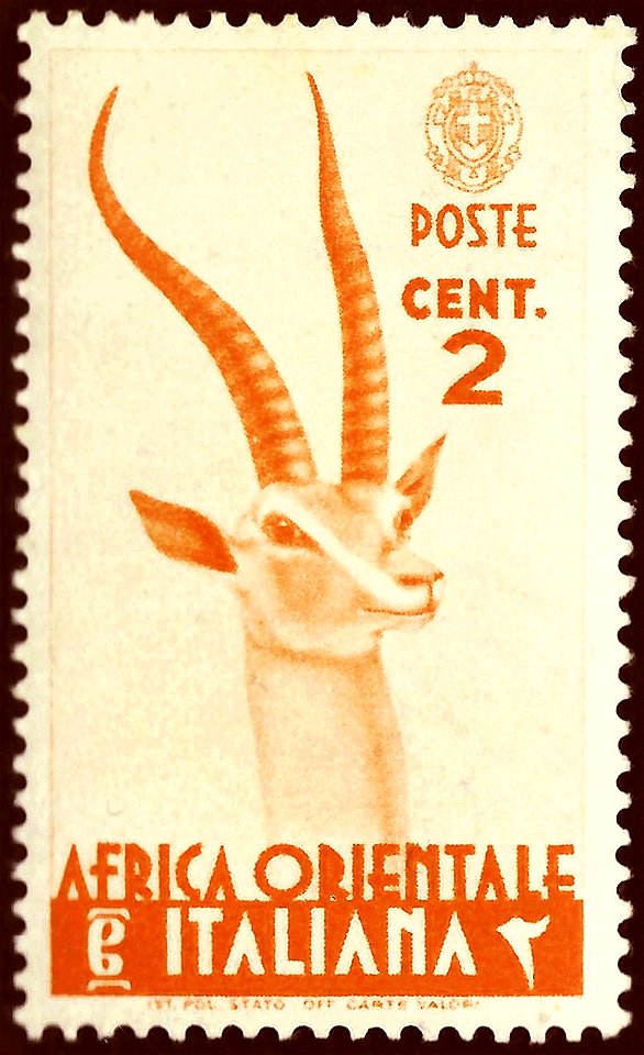 Stamp of Italian East Africa (A.O.I.); 1938; definitive stamp of the issue "Serie pittorica"; stamp motive with the head of a "Nanger granti" (also: "Grant's gazelle" and others); mint stamp
:   Miche