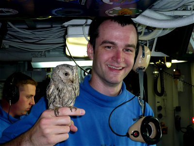 080317-N-2017K-001 PERSIAN GULF (March 17, 2008) Aviation Boatswain's Mate Handling 3rd Class Alex Dieringer holds "Fod", a Eurasian Scops Owl Otus scops that was found on the flight deck of the Nimit