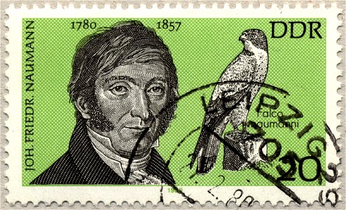 Stamp Johann Friedrich Naumann