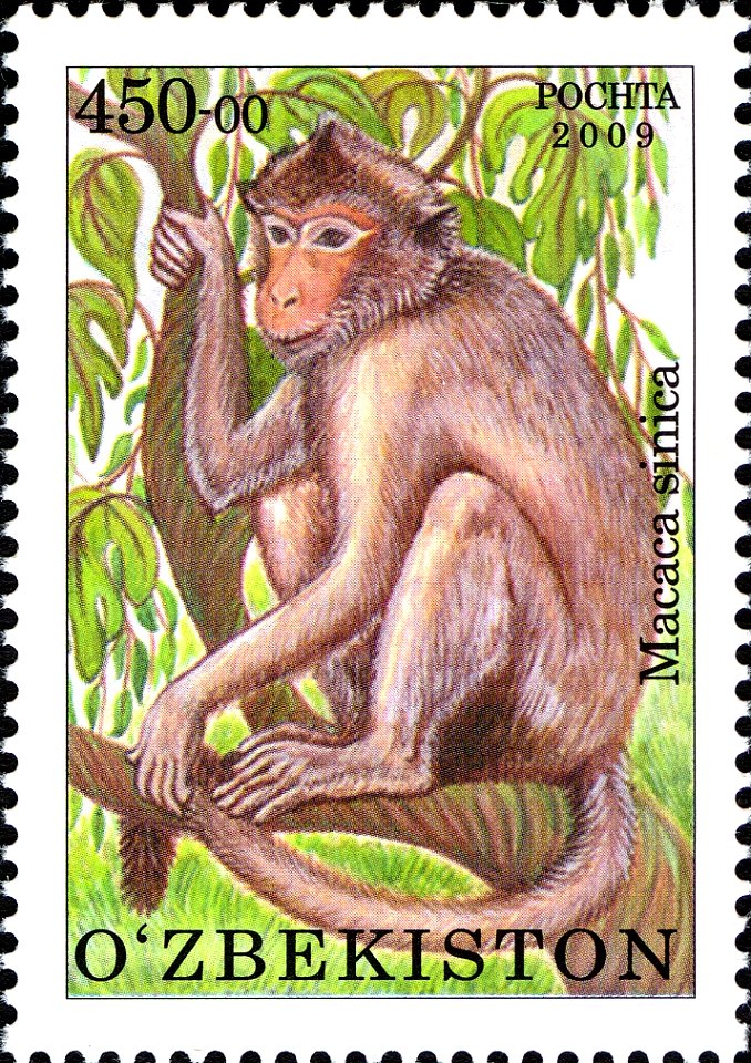 Stamps of Uzbekistan, 2010
