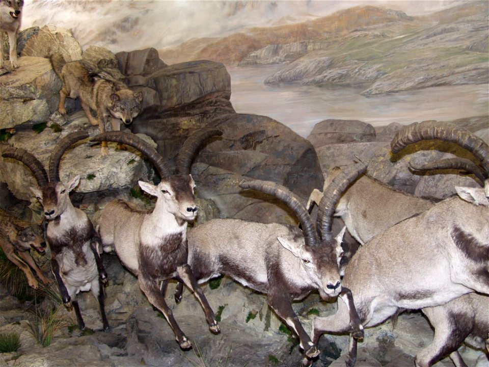 Museo de la Fauna salvaje, en Valdehuesa, t.m. de Boñar