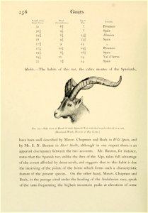Wild oxen, sheep & goats of all lands, living and extinct,  by R. Lydekker.