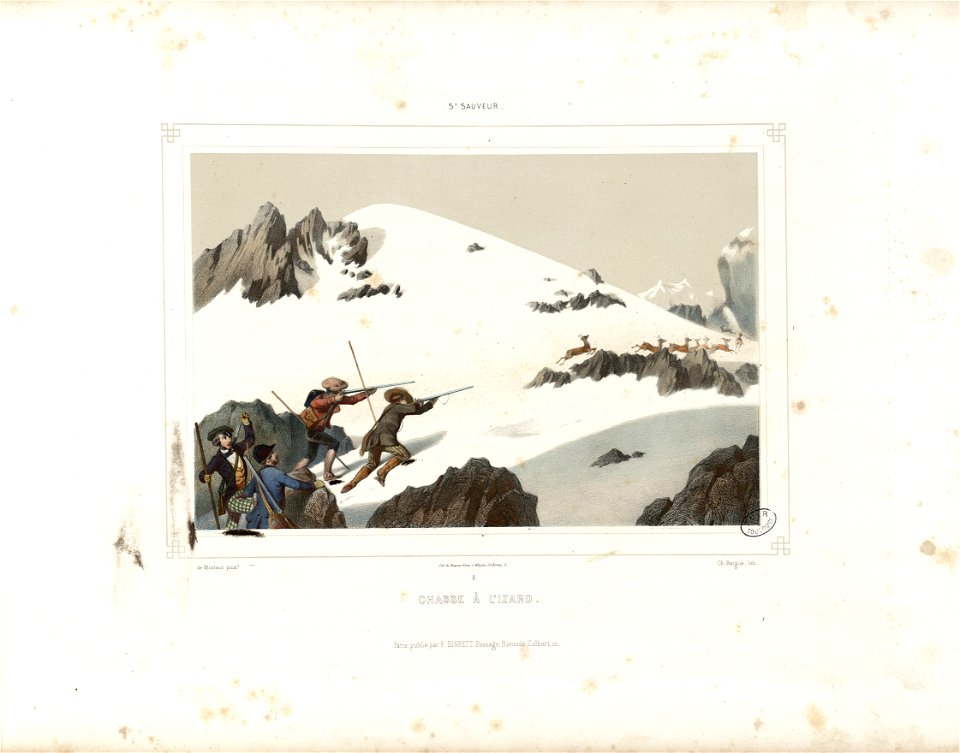 St. Sauveur - Chasse à l'izard (i.e. isard)